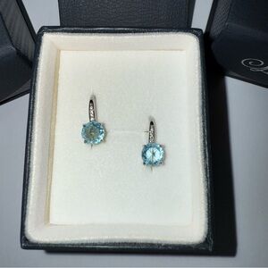 Montana Silversmiths Light Blue Stone Earrings Sterling Lane Line (NIB)